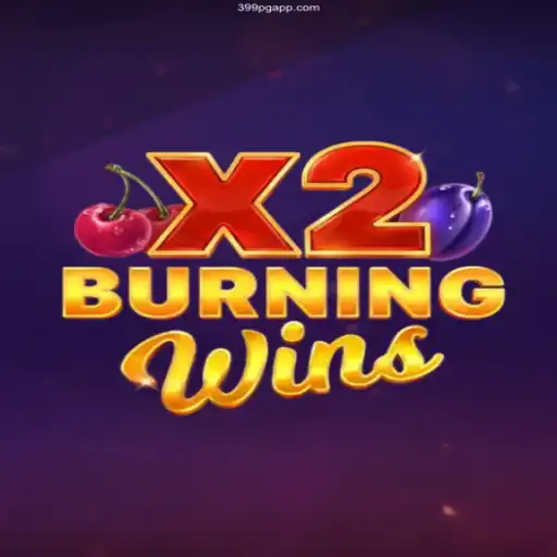 Exploring the Excitement of BurningWinsX2 in the World of Online Casinos